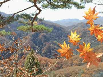 川藏线汽车评测,川藏线汽车推荐